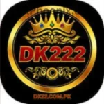 DK222 Game Logo