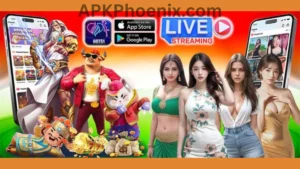 Hot51 App APK Download | Latest Streaming App for Android and iOS  1